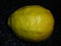 Citrus Limon Ponderosa / Лимон Пандероза